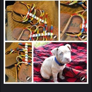 Blow fish 🐠 sandals